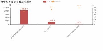 诚迈科技 2018年毛利率下滑,增收不增利